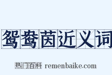 鸳鸯茵近义词是什么意思的图片